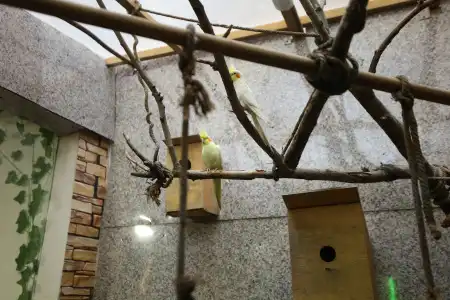 Komitas Avenue Guest House - 14