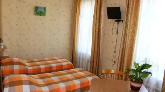 Tsarevna Lyagushka Guest house - 13