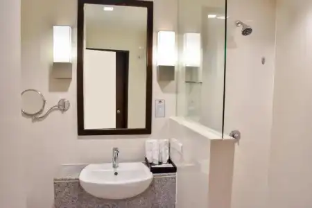 Ambassador - 40