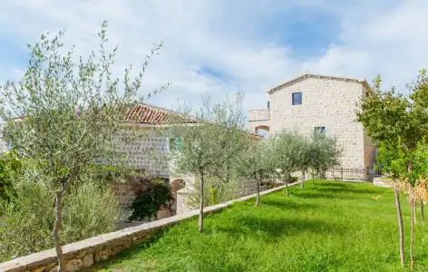 Olive Resort - 12