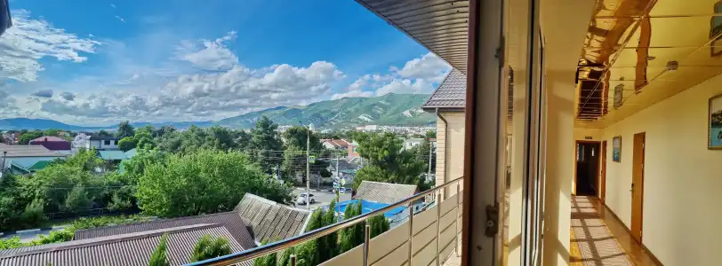 Kiparis - 50