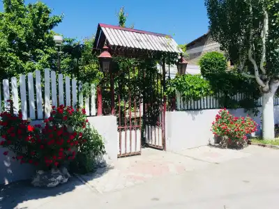 Eco - 3