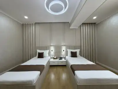 Art Regency Premium FREE airport service - 40