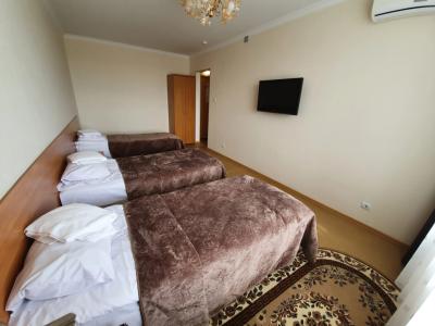 Gostinitsa Aviastar - 52