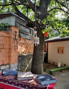 Ethno Adventure Camp - 25