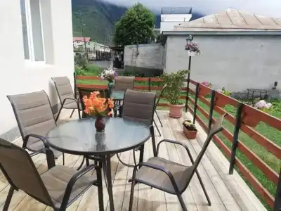 Elguja Qushashvili Guest house - 16