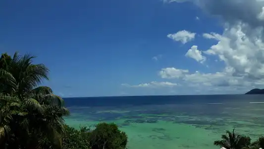 Au Fond de Mer View - 28