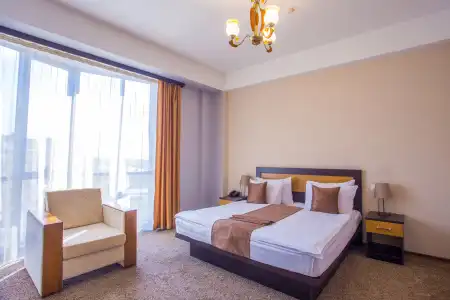 Ani Central Inn - 28