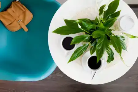 Live by Originals - 59