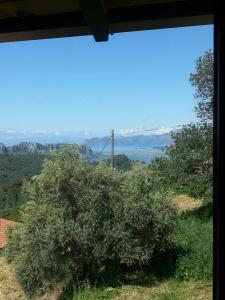 Sun Dalyan & Yeni Adet Organic - 56