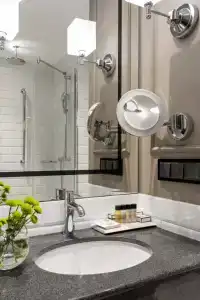 Chekhoff Moscow Curio Collection by Hilton - 54