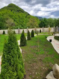 Dioscuria Borjomi Guest House - 37