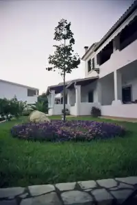 Paradise House - 30