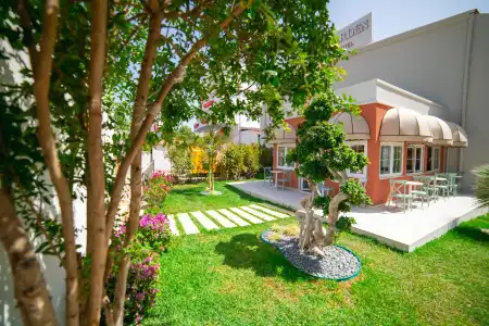 Rose Garden Premium - 1