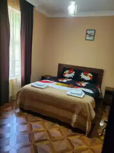 Dioscuria Borjomi Guest House - 2