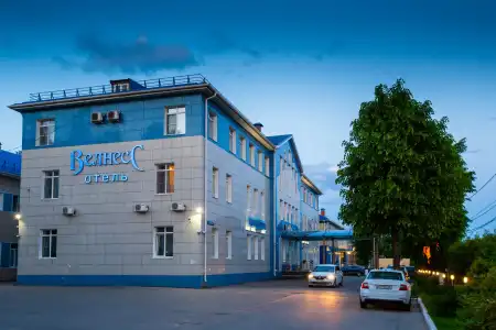 Wellness - 1