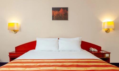 Holiday Inn Moscow Vinogradovo, an IHG - 19