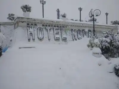 Kodra - 31