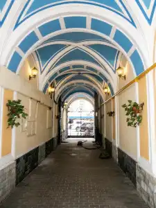 Sonata na Nevskom 5 Dvorcovaja ploshhad' - 39