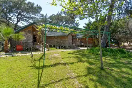 Sea Valley Lodge - 75
