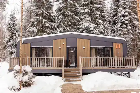 Neshalashi Lesnoy - 142