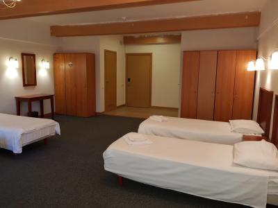 Happy Inn Alpiyskiy - 65