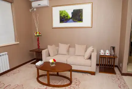 Soluxe Almaty - 28