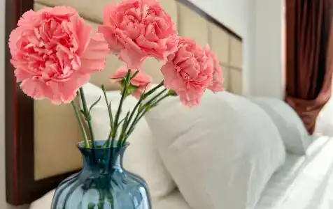 Wellness Park All-Inclusive - 46