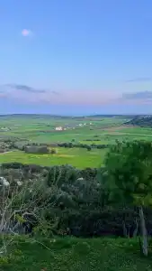 Celebi Garden	 - 2