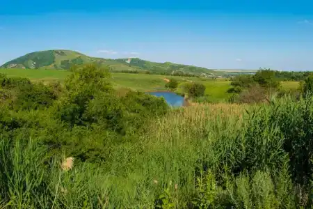 Shirokaya Balka - 74