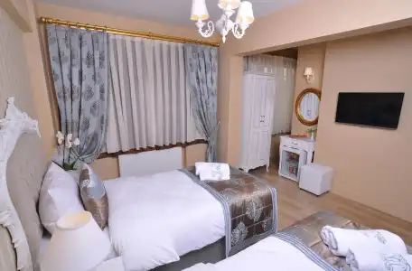 Divani Ali - 20
