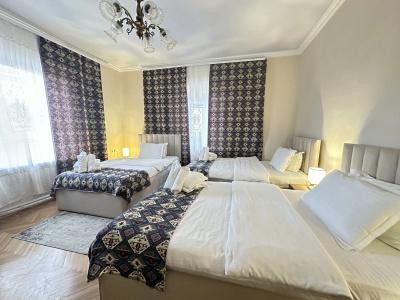 Amrots Deghceni - Boutique Castle Stay - 31