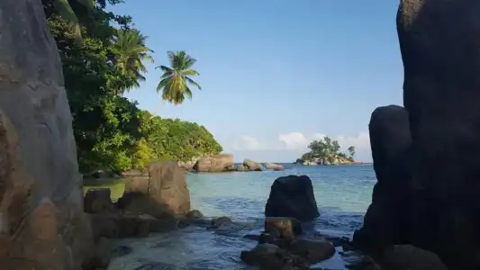 Au Fond de Mer View - 30