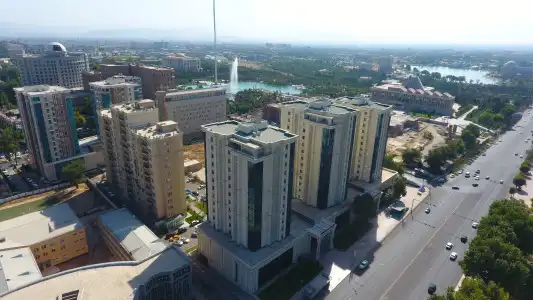 Apart Suzani - 1