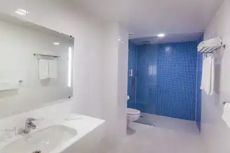 Best Western Plus Centre - 102