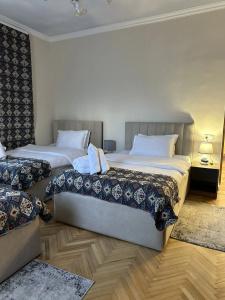 Amrots Deghceni - Boutique Castle Stay - 50