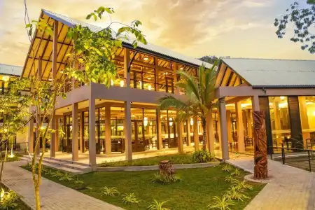 Oak Ray Wild Yala - 8