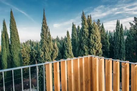 Park Tsinandali Estate - 31