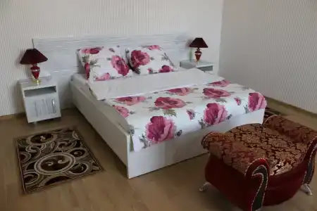 Gostinitsa Moskovskaya - 41