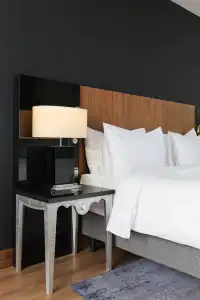 Radisson Blu Belorusskaya - 43