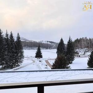 Park-Lake Aya - 54