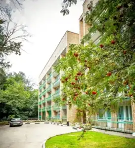 Roslesprom - 1