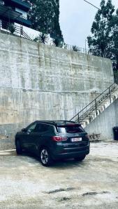 Evkalipt Kvariati Villa - 13