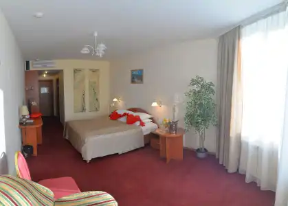 Tsentralny EuroHotel - 24