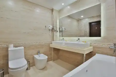 Orient Star Varahsha - 17