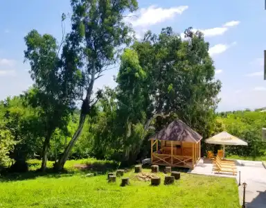 Vita Garden - 25