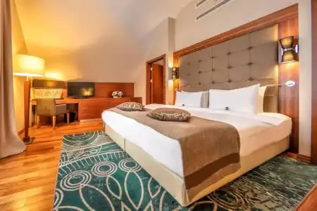 Crowne Plaza Borjomi - 58