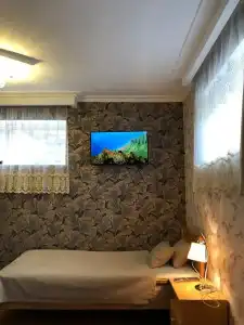 Elguja Qushashvili Guest house - 17