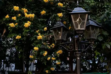 Elea Old Tbilisi - 17