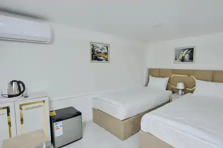 Registon Gold - 20